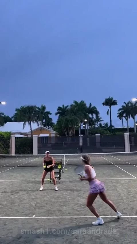 saraandrade post preview
